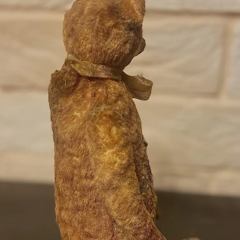 Медведь и цветы