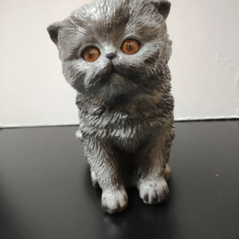 Котик декоративный