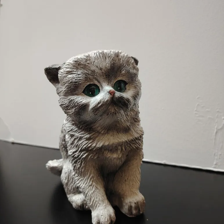 Котик декоративный