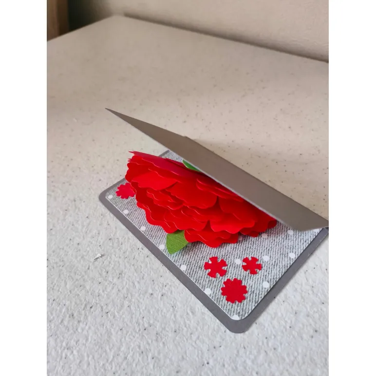 Поздравительная POP-UP открытка, выполненная в дизайне "KAGISIPPO"