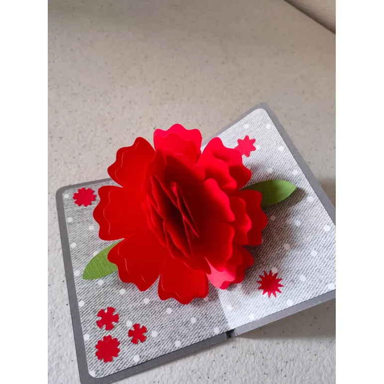 Поздравительная POP-UP открытка, выполненная в дизайне "KAGISIPPO"