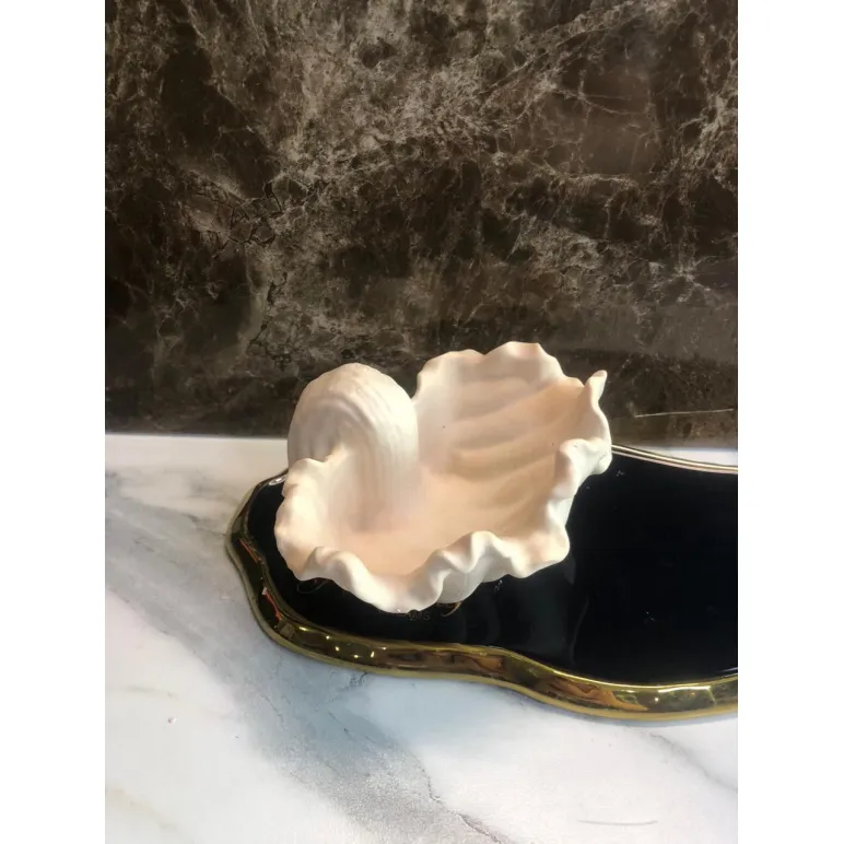 Шкатулка из гипса ракушка