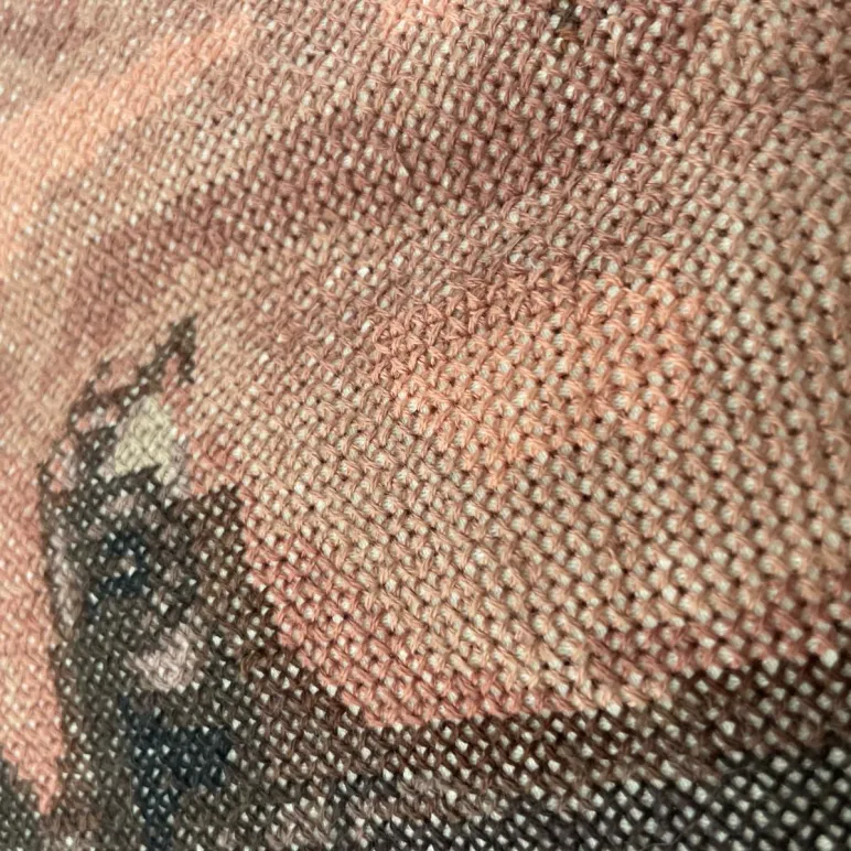 Вышивка крестиком по фото