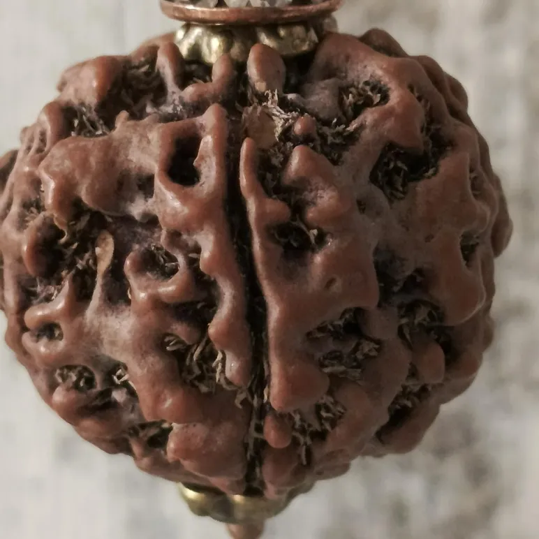 Серьги с рудракшей и унакитом