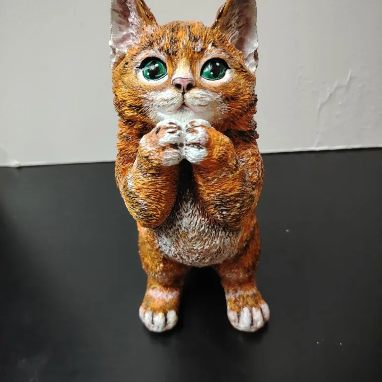 КОТИК Котик