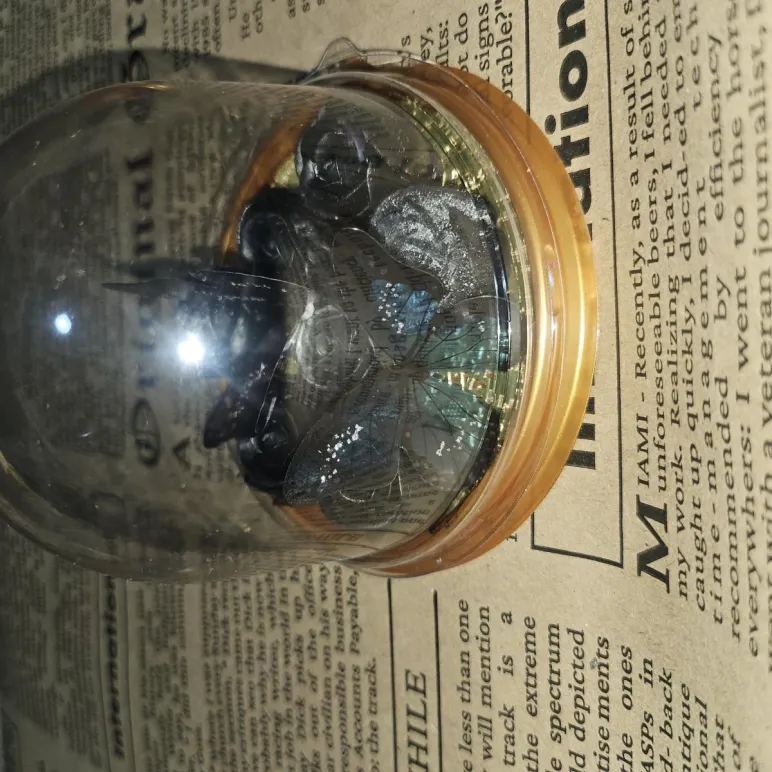 Розы в куполе.