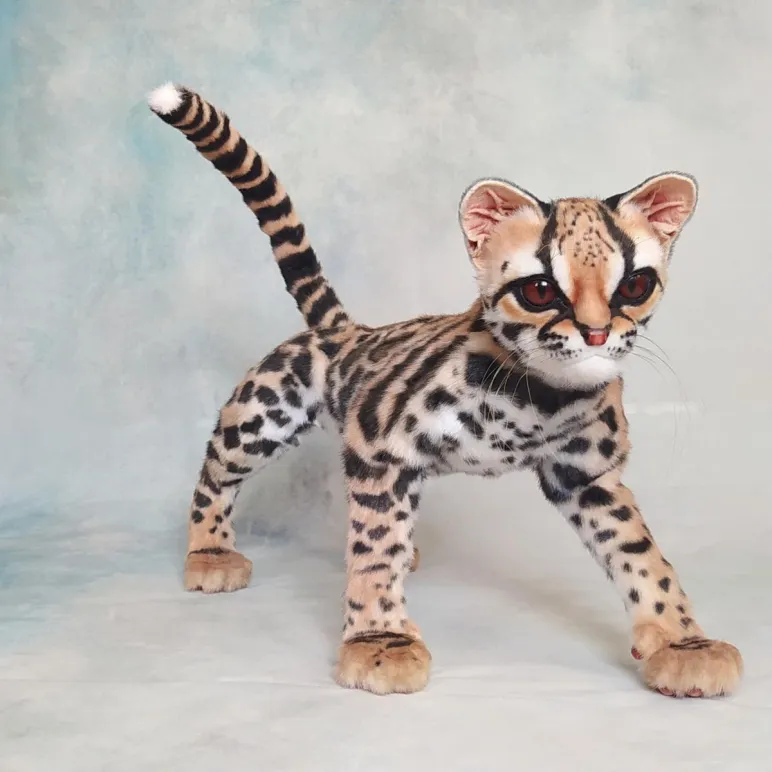 Интерьерная реалистичная игрушка ручной работы - кошка породы "Маргай"