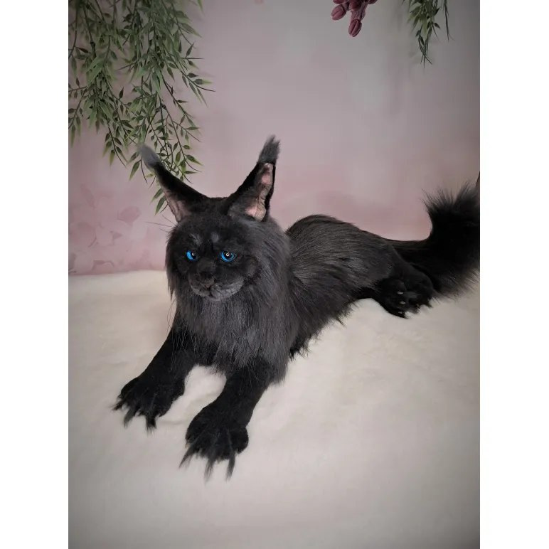 Авторская игрушка КОТ МЭЙН-КУН