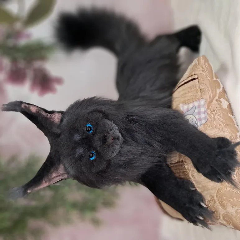 Авторская игрушка КОТ МЭЙН-КУН