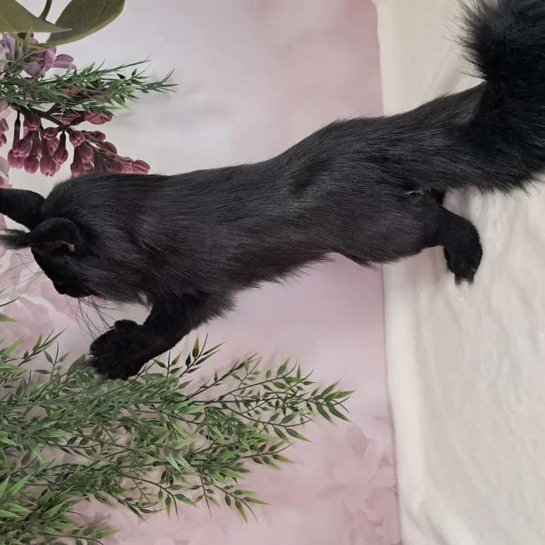 Авторская игрушка КОТ МЭЙН-КУН