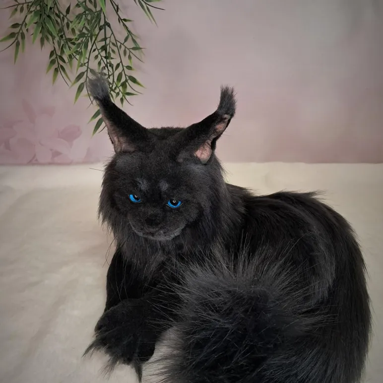 Авторская игрушка КОТ МЭЙН-КУН