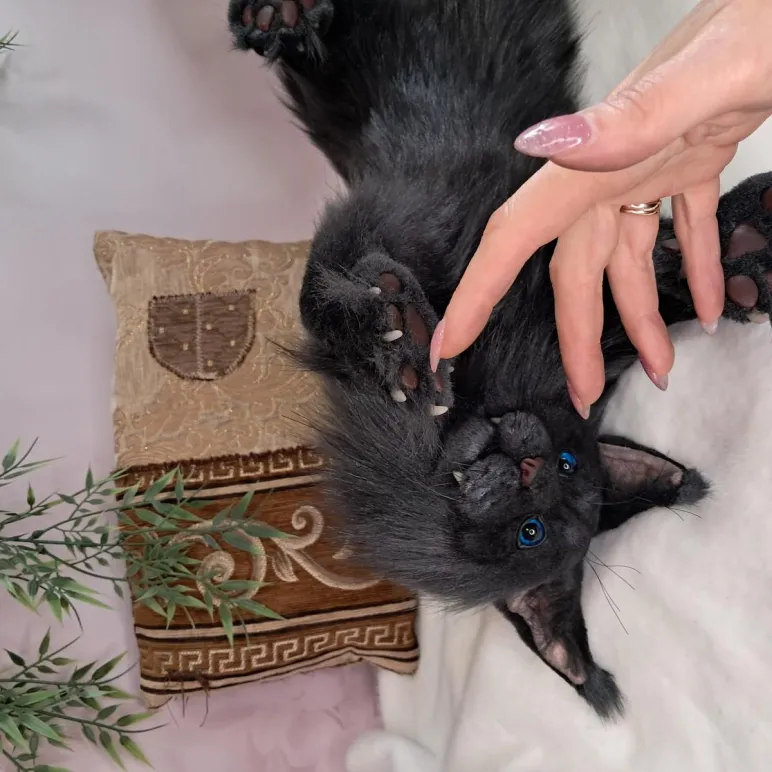 Авторская игрушка КОТ МЭЙН-КУН