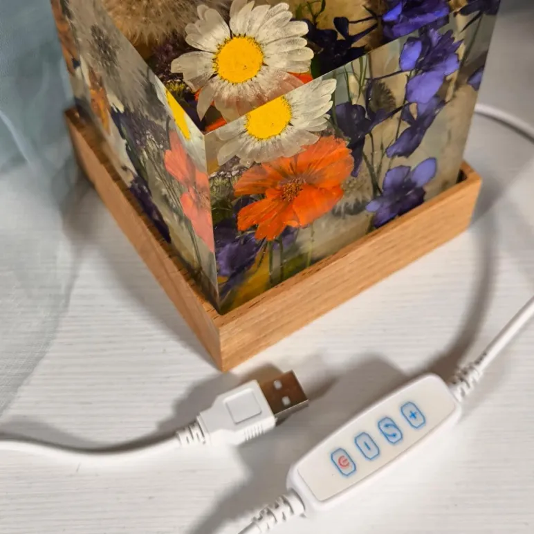 Светильник Ночник с полевыми цветами