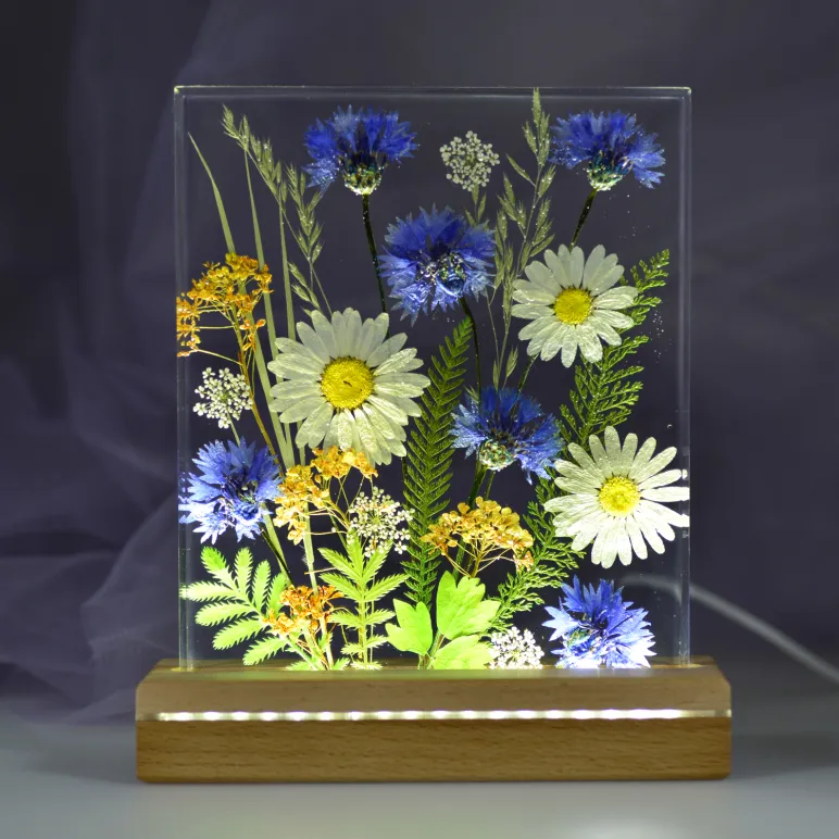 Картина с подсветкой Васильки и ромашки