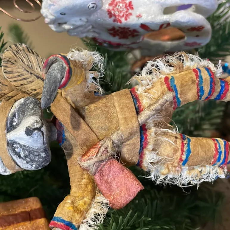 Енот-индеец