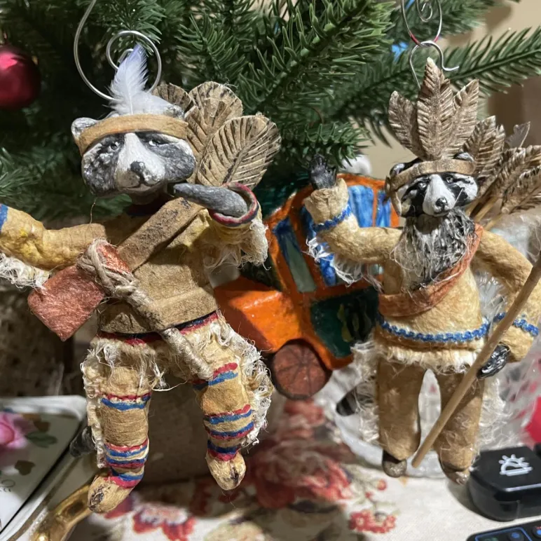 Енот-индеец