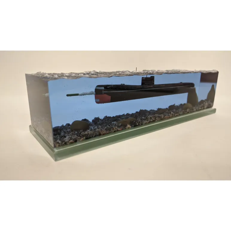 АПЛ проект 641Б "Сом". Подводная лодка