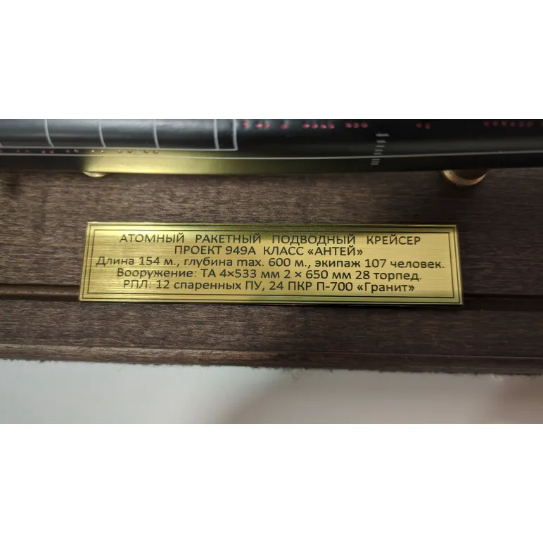 МОДЕЛЬ ПОДВОДНОЙ ЛОДКИ .949А "АНТЕЙ". Модель подводной лодки .949А "Антей".