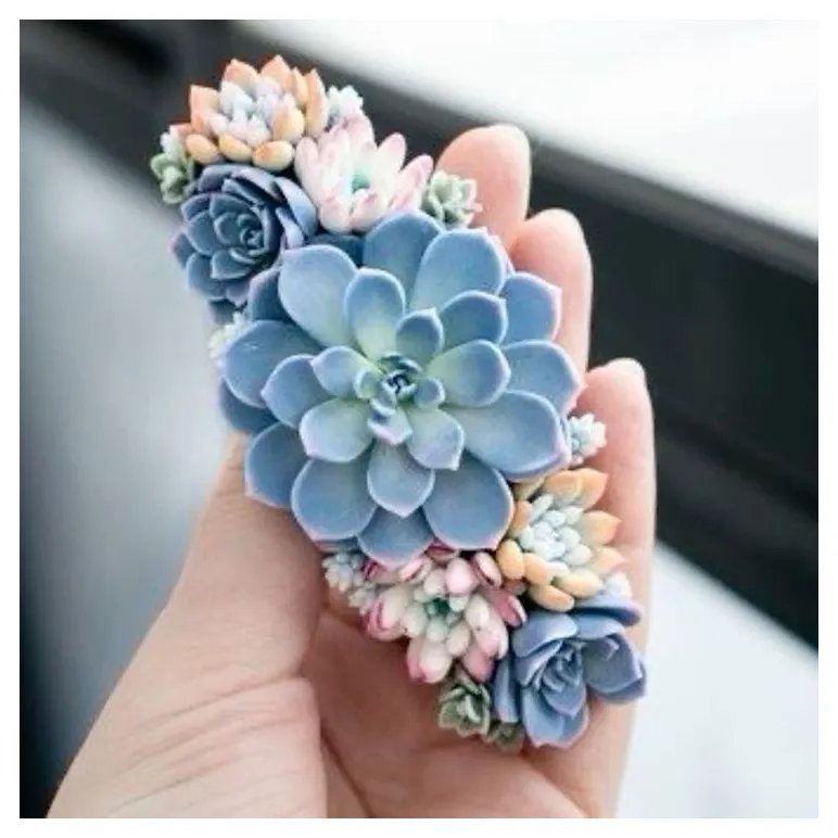 Мыльный цветок