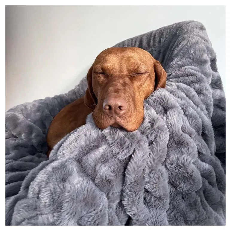 Плед для кошки, собаки