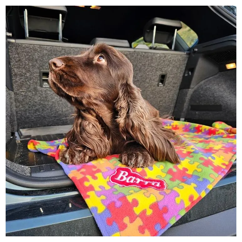 Плед для кошки, собаки