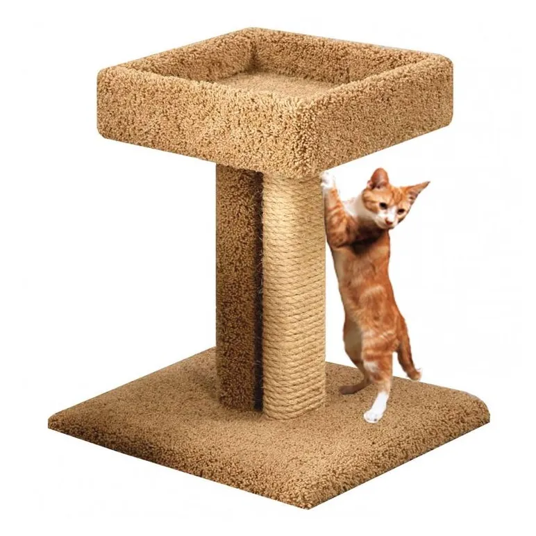 Когтеточки