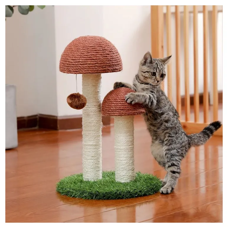 Когтеточки