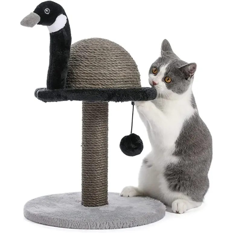 Когтеточки