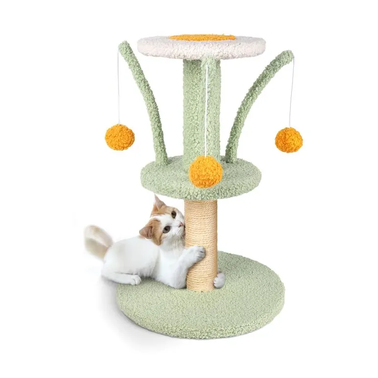 Когтеточки