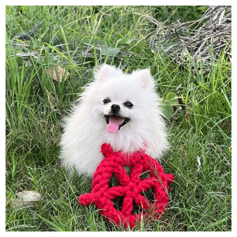 Игрушки для животных