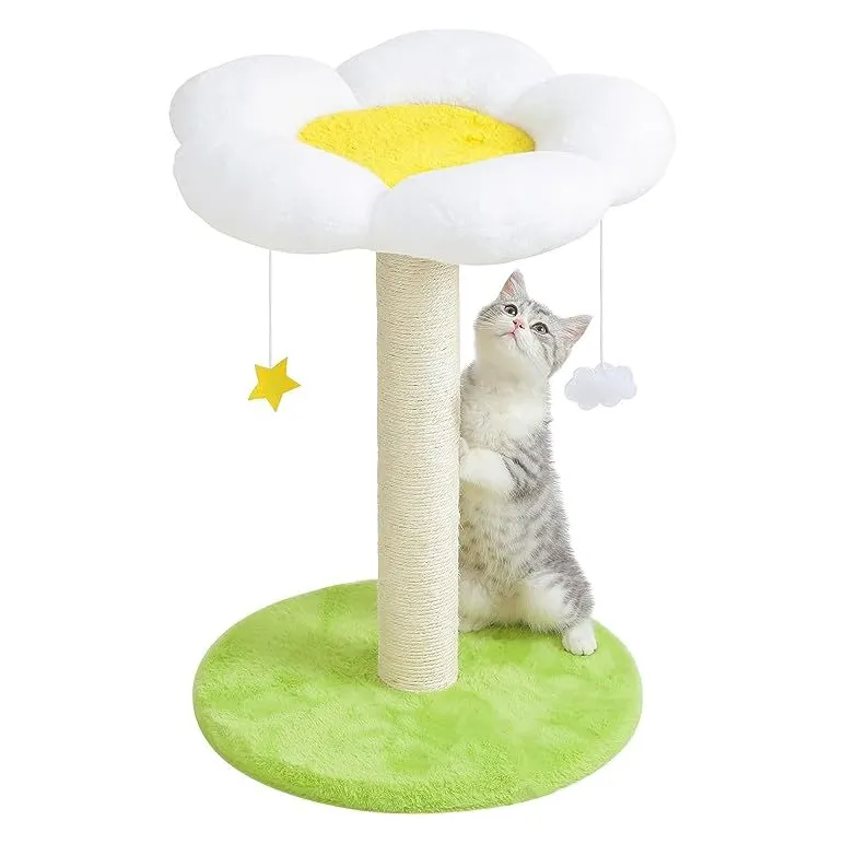 Когтеточки